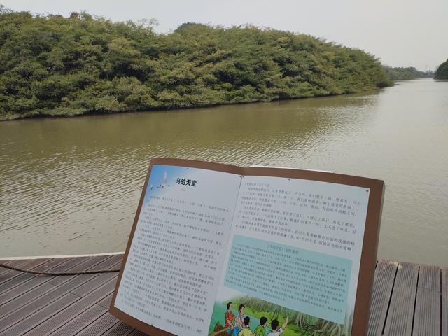 2026温暖广东之旅：漫游珠海、新会、江门