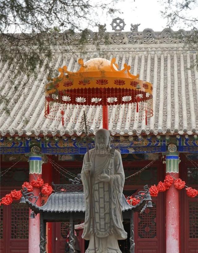 这才是5月陕西最值得去的小城！40万亩花海开爆，满城飘香！