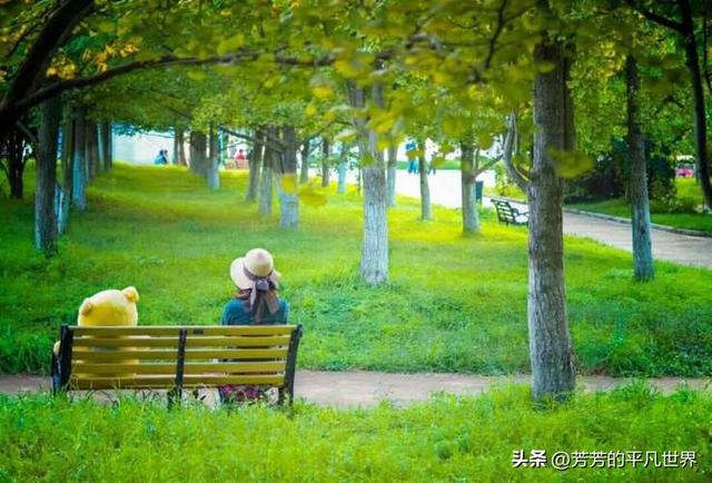 深圳旅游景点大全