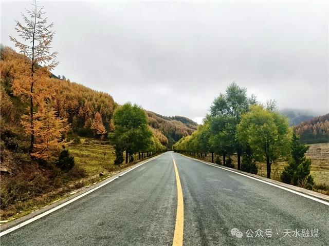 【联动宣传】这里，藏着天水最美的秋