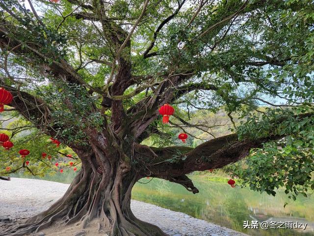土楼拾光②:福建土楼景区——云水谣片区(2025.2.10 漳州·南靖)