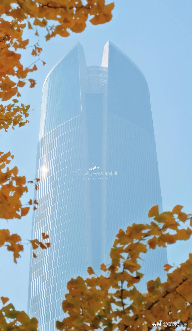 武汉秋色正浓时，梧桐叶片渐染黄，街头诗意盎然