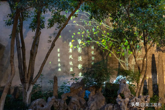 避开热浪！吴江的夏夜还可以这样玩→