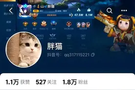重庆21岁王者国服梦奇“胖猫”跳江事件：学会爱自己，珍爱生命图片