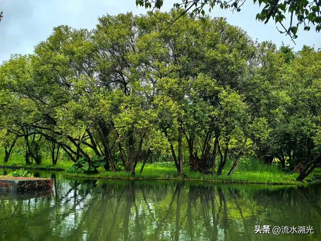和顺古镇:被时间遗忘的幽静边陲
