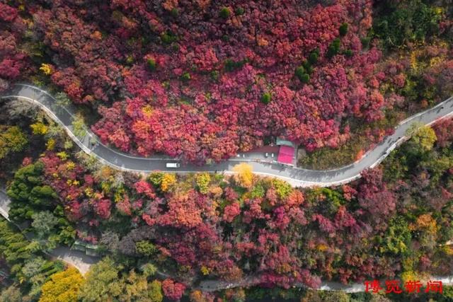 11月游淄博，享受深秋好时光！