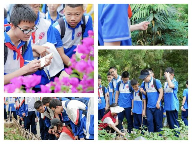托管班、研学游！中医药文化活动开启暑假岐黄热～