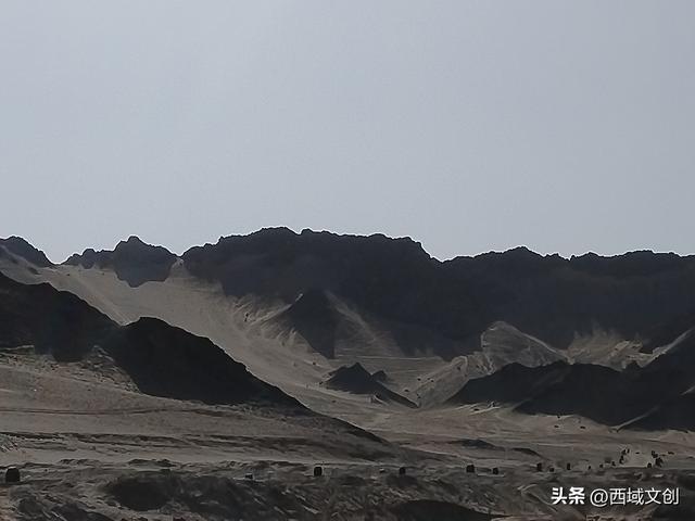 散文写人生｜我爱多坝沟的胡杨 文图/张耀宇