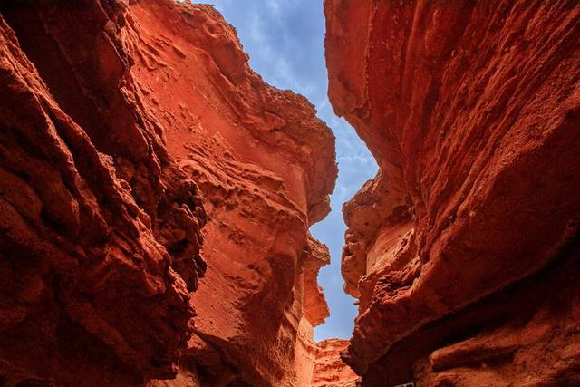 湘南荒山野岭火到韩国！本地人都少去，韩媒却眼红