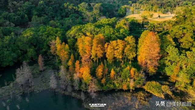 发现深圳“阿勒泰”这些机位的人，真是天才！