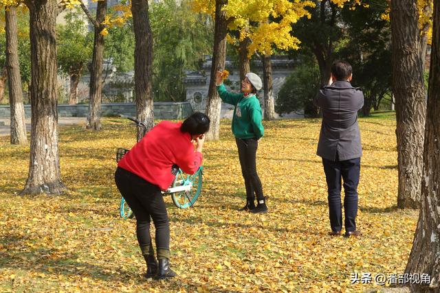 无锡吴都路，金色的世界