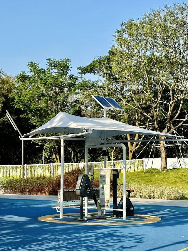 深活指南｜“我宣布，深圳的夏日就是大型养生局”
