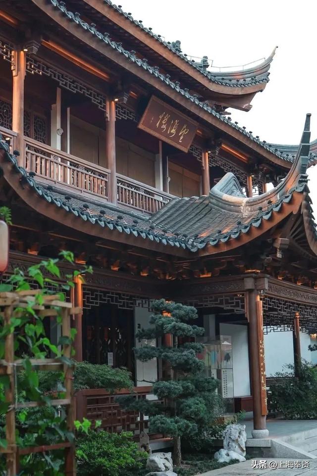 藏在上海的千年水乡！青溪老街一日游攻略，逛吃玩全解锁！