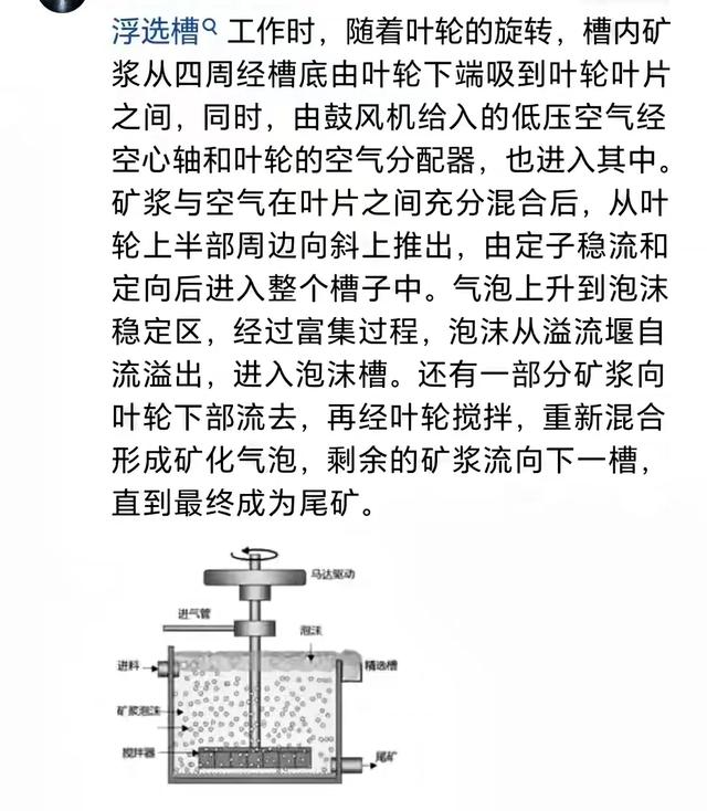 6名大学生参观企业遭意外：同校学生揭露更多内幕，所学专业曝光