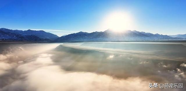 新疆峡谷雾气翻涌，如浓墨重彩画卷，大自然的神奇笔触令人惊叹