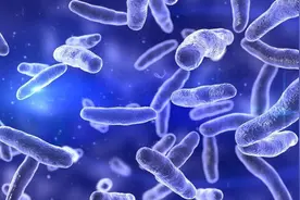 益生菌能长期吃吗？有副作用吗？医生提醒：服用益生菌注意4点图片