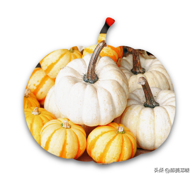 听劝！深秋一定要来邛崃这个“南瓜”露营地，太出片了！