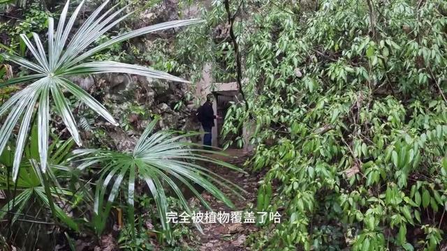 重庆歌乐山发现神秘山洞，竟是抗战时期的秘密金库，内部结构复杂