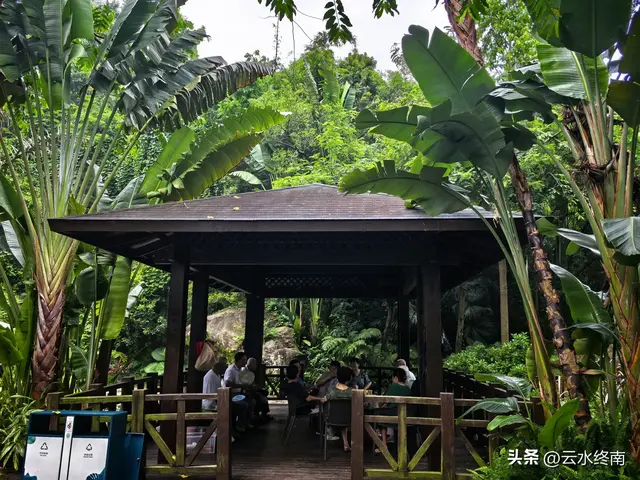 一个五A级植物园，到底藏着哪些值得看的地方，这是最实在的攻略