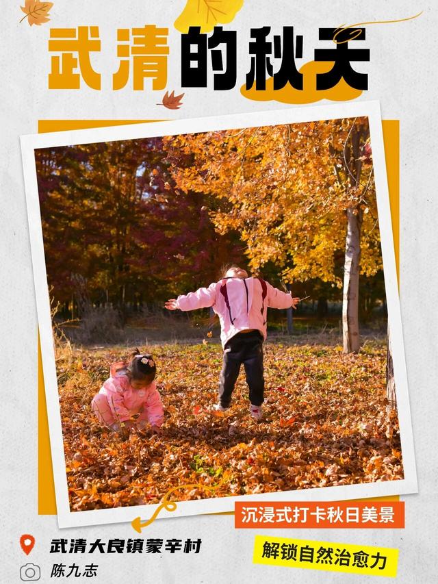 嗨，你的秋天留住了吗？