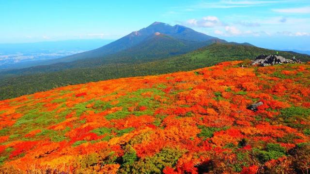 2025日本赏红叶攻略已出！附北海道、东北5大赏红叶景点~