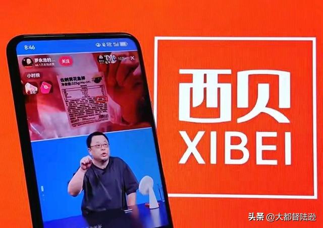 西贝接下来到底应该怎么做，才能挽回眼下的这场公关危机呢？