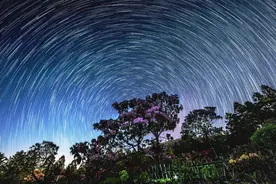 五月的天台，“顶流”来电：这份季节的“限定版”在等你图片