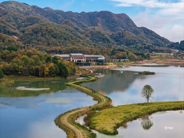 2025利州秋色，每一帧都是限定浪漫