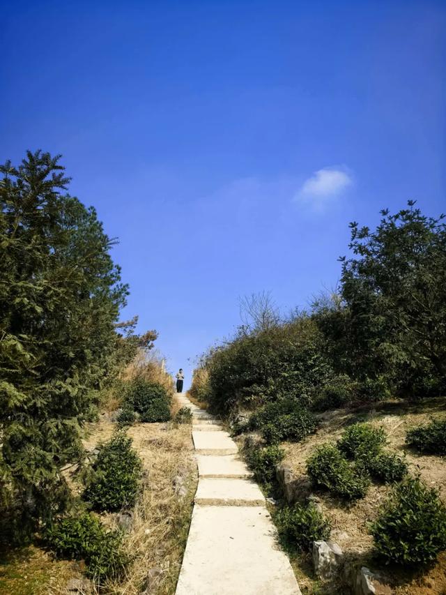 因何而徒，步履发声——徒步众生相