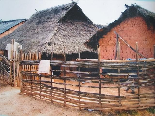 解放军在云南原始森林，发现一群男女，他们住草棚靠野果捕猎为生