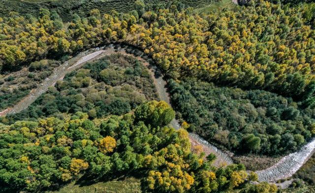 请收下，这封古浪秋日的请柬