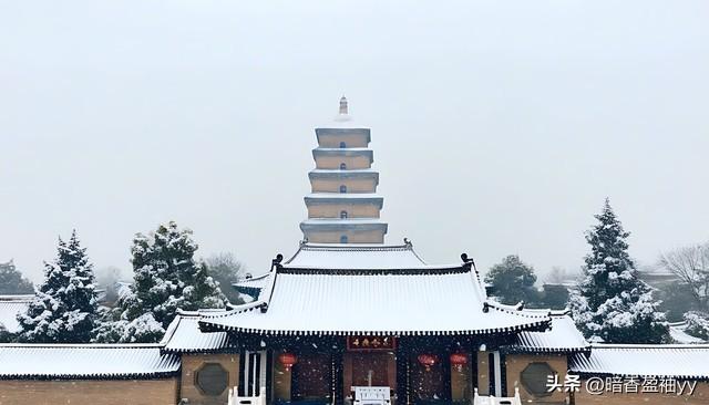 长安一场雪，已闻春声动。大寒，梅红藏雅韵，雪落惊客颜