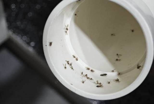 尝试半年，我终于完成了下水管的优化方案