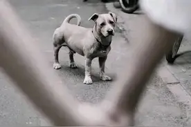 什么能算得上“真正强大的内心”？图片