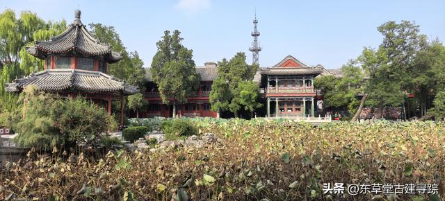 探秘保定古莲花池：穿越八百年的园林传奇