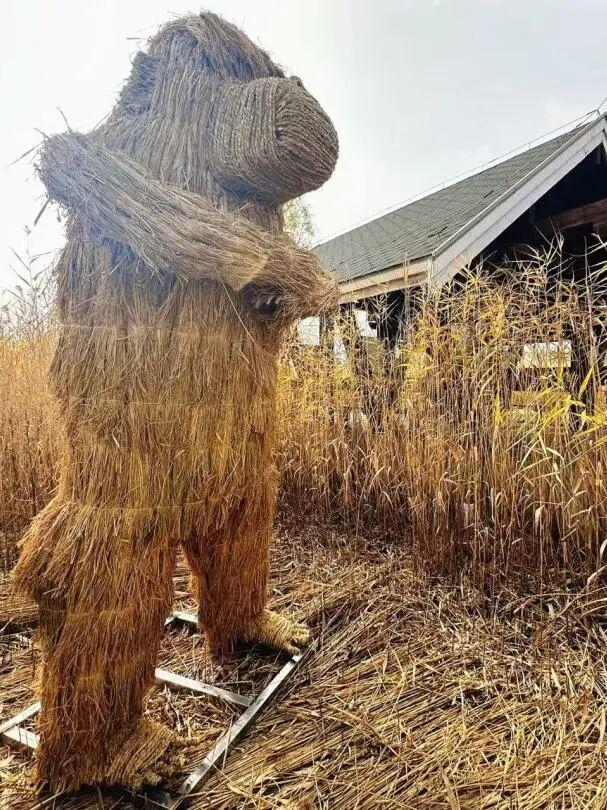 大地艺术与彩叶共绘生态画卷！藏在园博园湿地里的秋日浪漫→