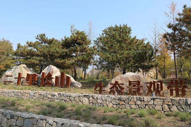 层林尽染引客来～“红叶经济”红透浅山富了乡邻