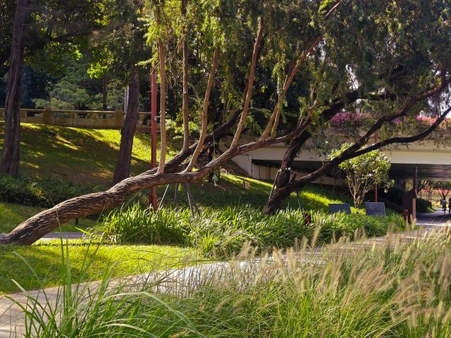 从学苑大道入大沙河绿过大学城后进深圳弯公园流花山景点【高清】