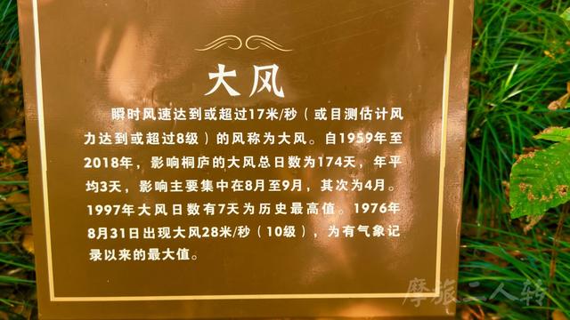 皖浙摩旅二人转——桐庐荻浦村篇