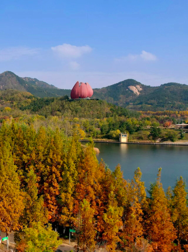 这个冬天，被山东这片红色“暖”到了！