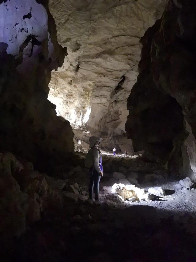 带小朋友去贵州茂兰，连环探洞加漏斗原始森林徒步二日游全攻略！