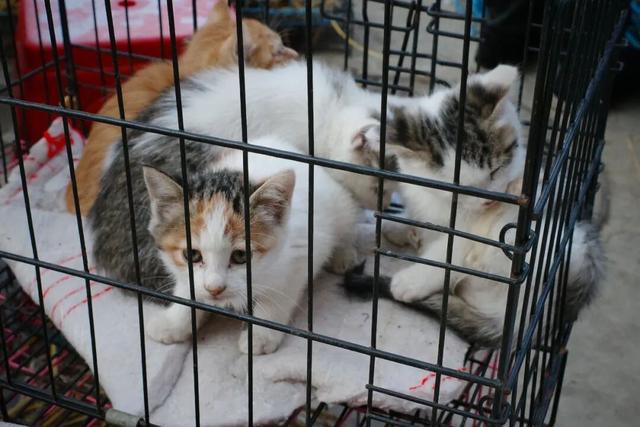 又挖到一座冷门宝藏小城，这次真给我玩嗨了