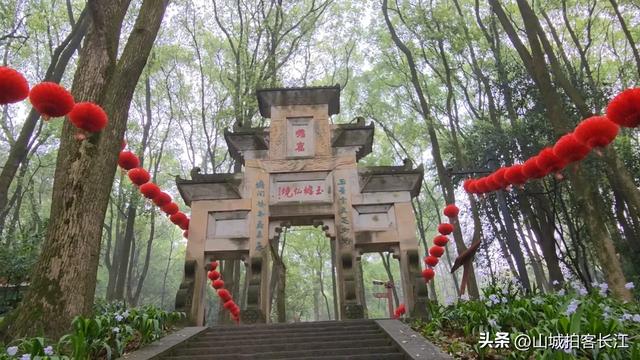 四川南部低调的头号强县,拥有多张响亮名片,被官方誉为“龙城”