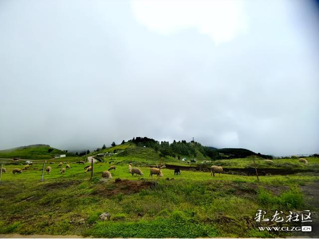 昆明有个阿勒泰