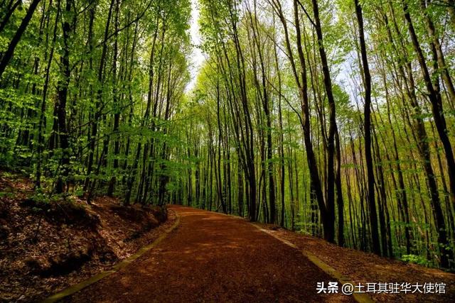 伊斯坦布尔周边5座静谧小镇，开启完美秋日之旅