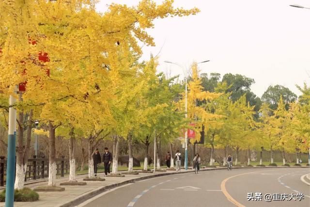 重大限定皮肤上新,超出片!🤳