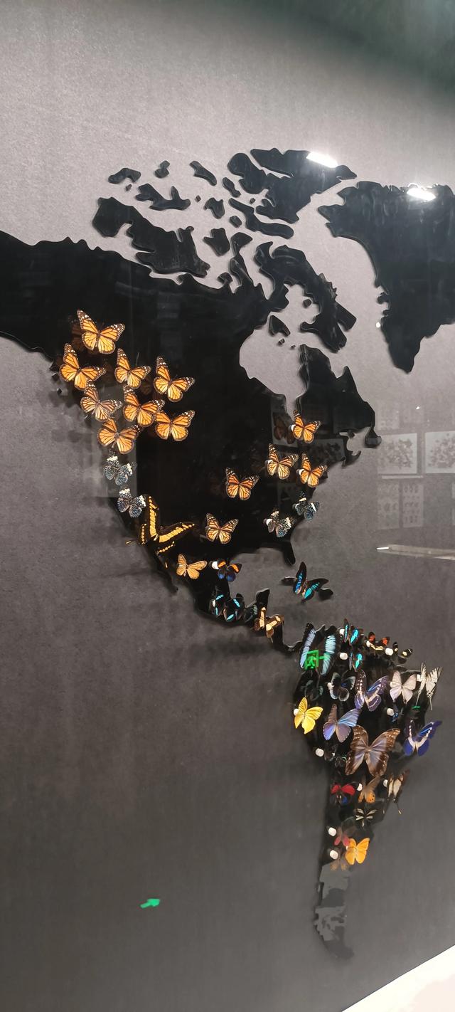 西安长安云昆虫展你来了吗