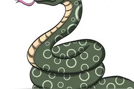 梦见蛇该注意了，做好这些图片