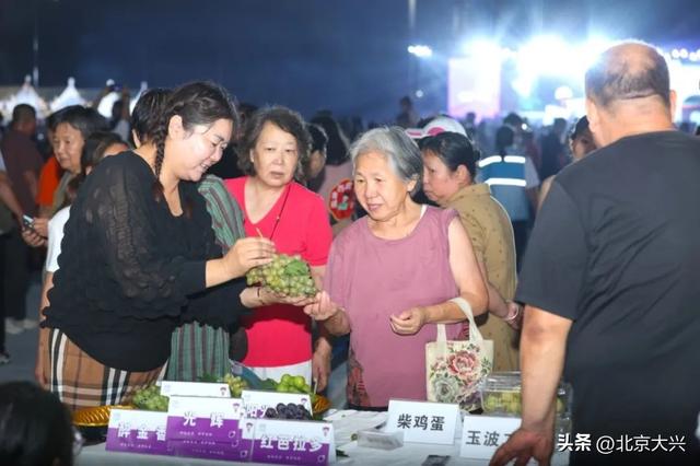 采育数字时尚小镇正式启动 数字与时尚共绘发展新图景