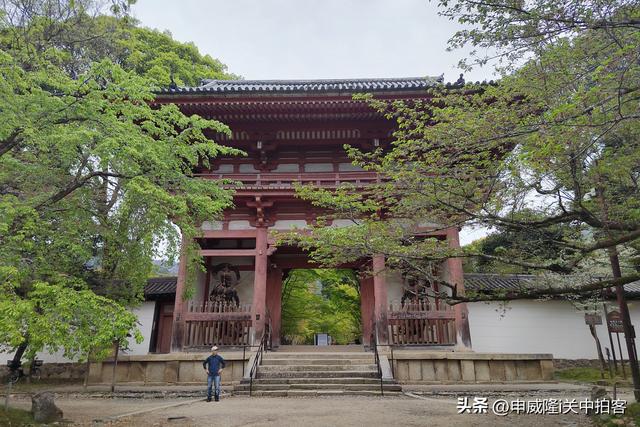 日本京都：走进醍醐寺
